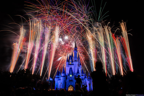 Wishes Finale