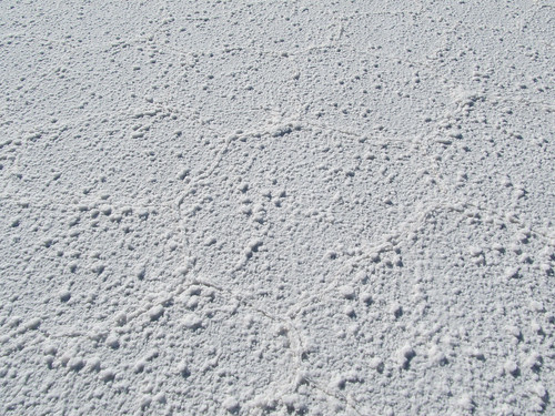Le Salar d'Uyuni: les alvéoles de sel