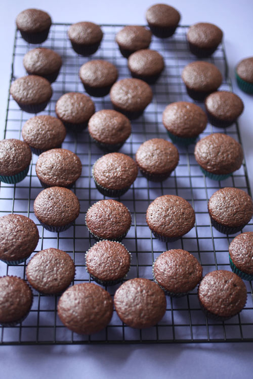 Miniature chocolate cupcakes