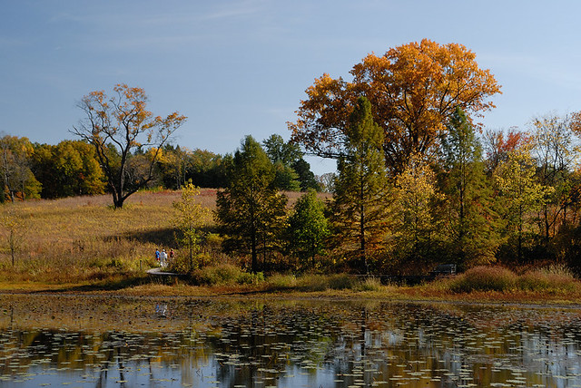Shaw Nature Reserve (the Arboretum), in Gray Summit, Missouri, USA - lake 3