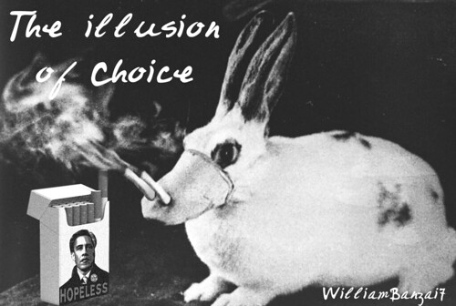 THE ILLUSION OF CHOICE by Colonel Flick