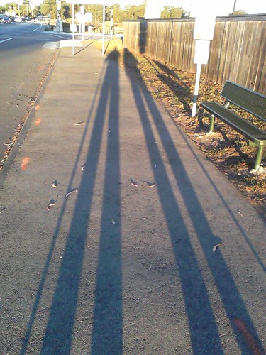 Shadows 10 24 2012