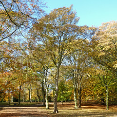 Autumn in Lister Park