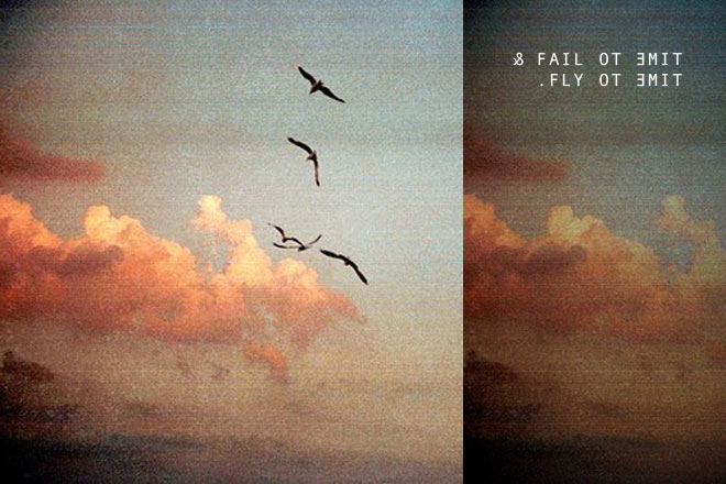 Fail+Fly