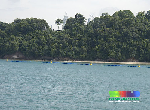 Floating security barrier in front of Sentosa's natural shores