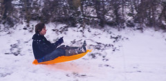 Snow means sledging