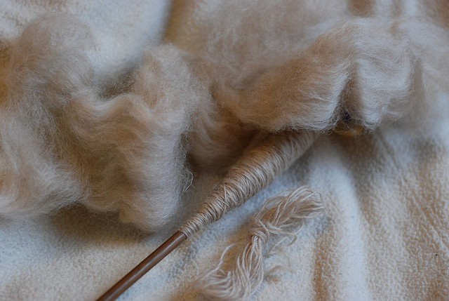 New Zealand Haunui flock Romney and NZ Halfbred roving being spindle-spun into yarn