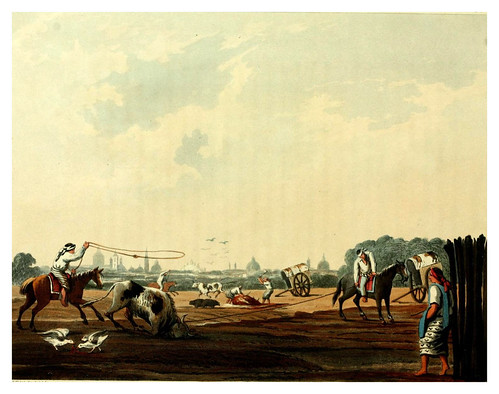 007-El matadero del sur de Buenos Aires-Picturesque illustrations of Buenos Ayres and Monte Video..-1820- Emeric Essex Vidal