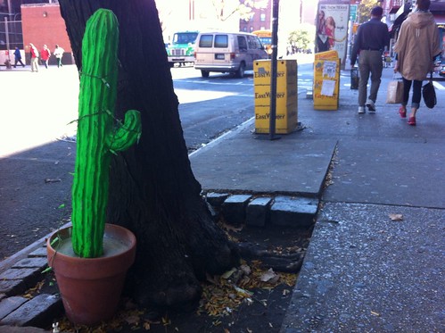 A Cactus Grows on Avenue A