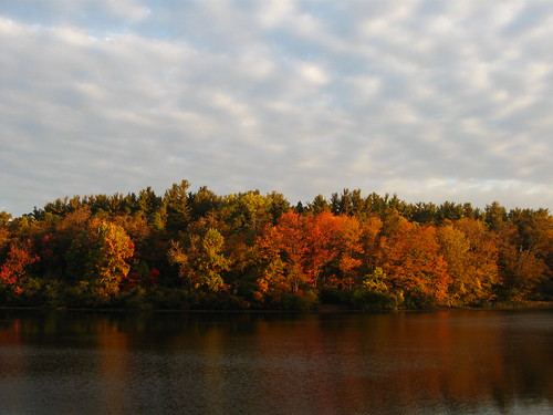 Peak fall colors
