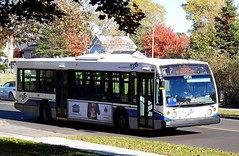 Autobus RTC buses