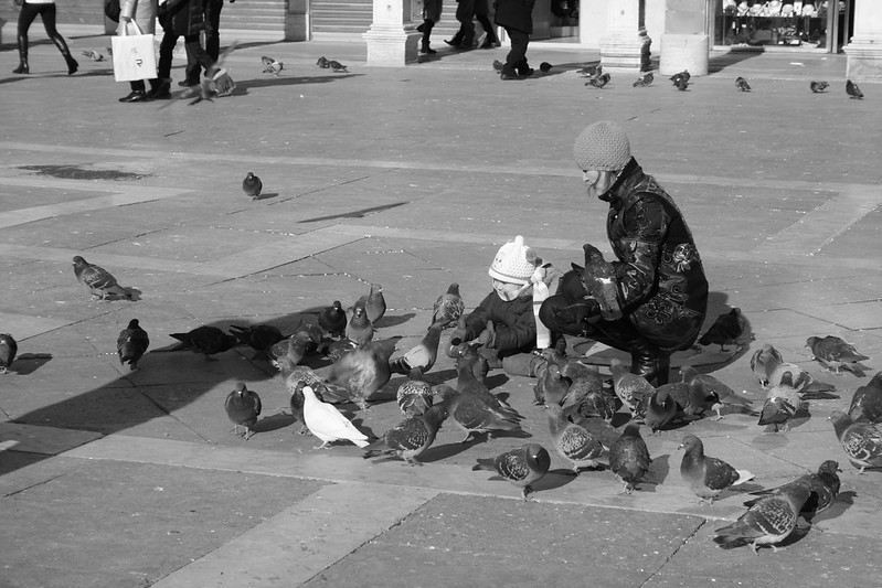 Child with birds