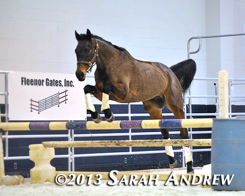 Suave Jazz at the MD Horse World Expo