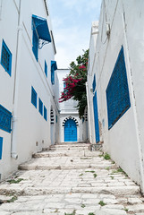 Túnez - Sidi Bou Said