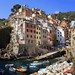 The tower houses look down on Riomaggiore's small harbor