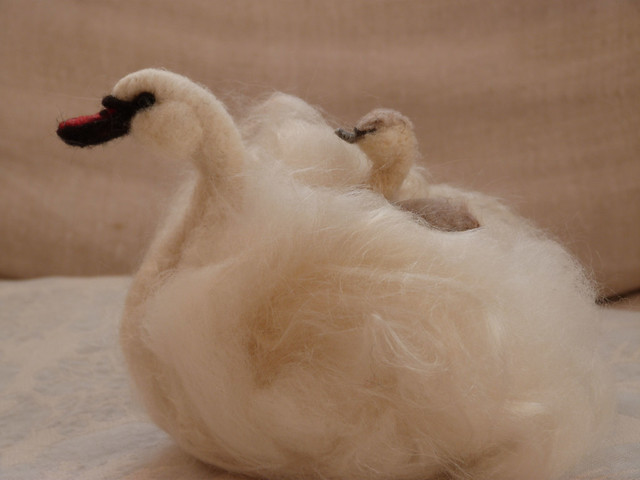 swan and chick 2