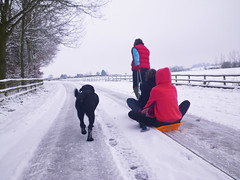 Snow means sledging
