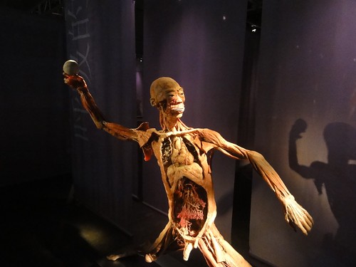 Human Bodies Exhibition @ Venetian Macau