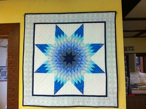 Project Quilting 13-2  one color+ white