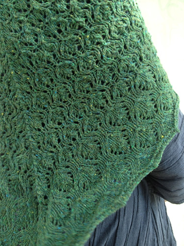 Green shawl 6