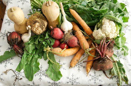 Which Vegetables Keep You Full For Longer?