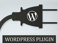 How to Use WordPress Plugins?