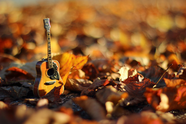 Autumn and music
