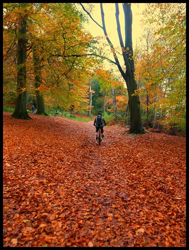 autumn ride by rOcKeTdOgUk