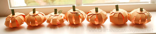 pumpkins-and-turkeys-058-1