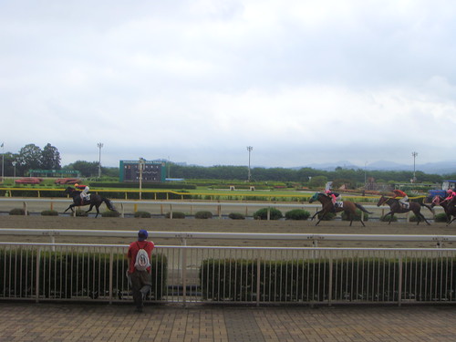 Mizusawa Racecourse 水沢競馬場