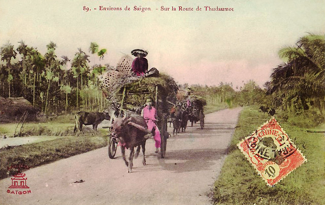 Environs de Saigon - Route de Thudaumot