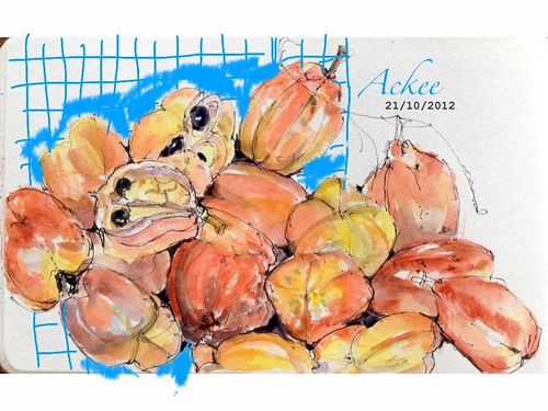 Ackee - not pumpkins by crclapiz