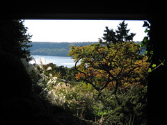 Framed View of Sumac 1