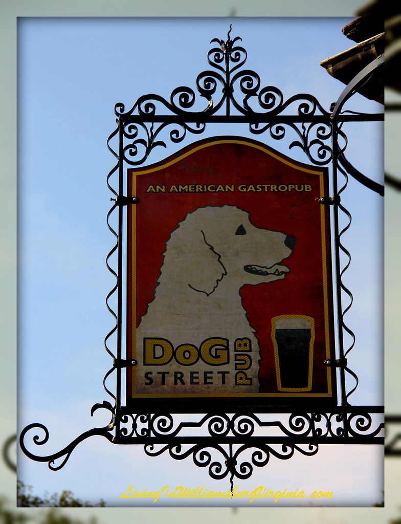DOG Street Sign