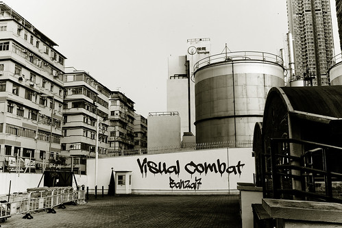 VISUAL COMBAT by Colonel Flick