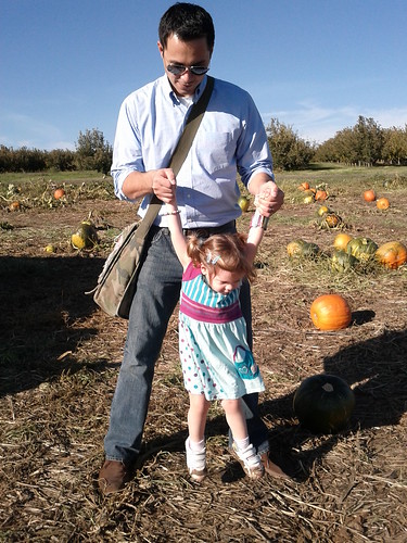 Pumpkin Picking at Eckerts