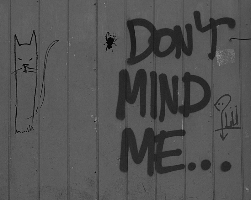 Don't Mind Me. . .
