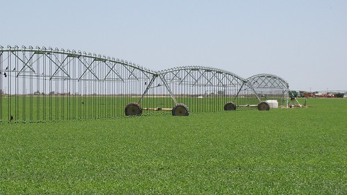 Low Elevation Spray Application and Low Energy Precision Application systems are being used on the Gonzales’ alfalfa field in Lovington, NM. This month, USDA celebrates our partnerships to encourage  conservation practices on both public and private lands.