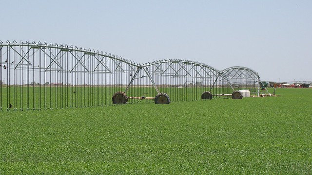 LESA/LEPA system on Gonzales’ alfalfa field