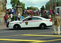 Canadian Military Police
