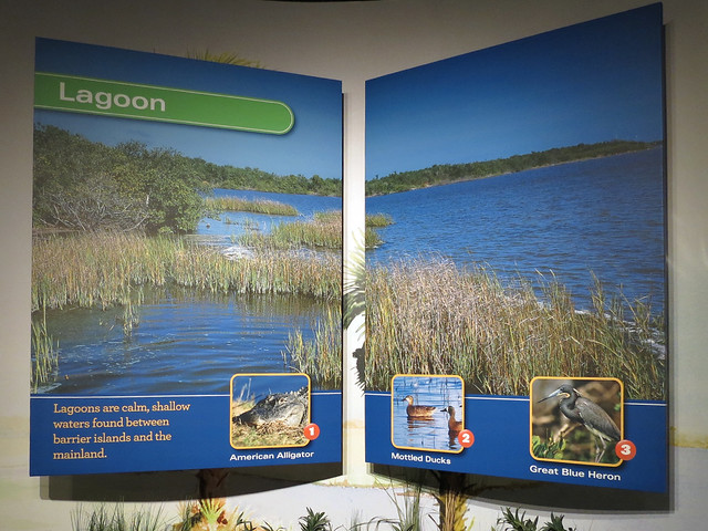 Lagoon poster