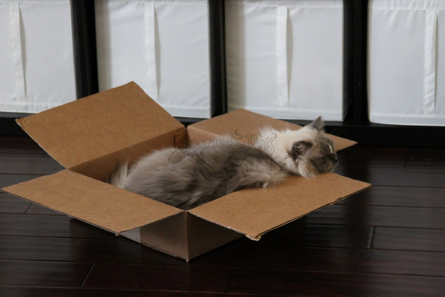 Tyco Takes on a Box