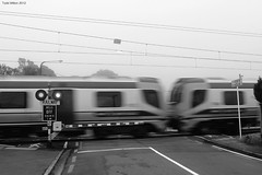 Tranz Metro FP Class "Matangi"