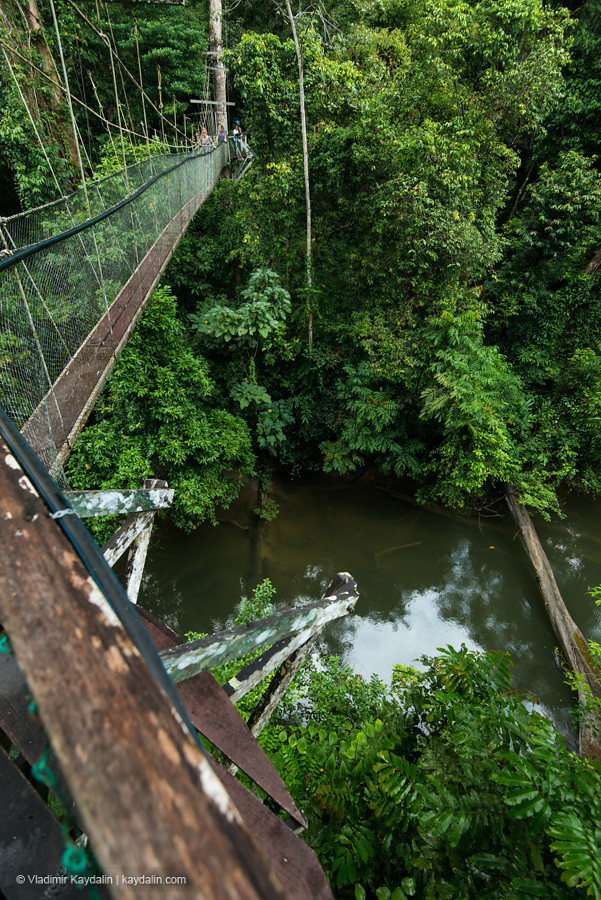 cableway, Sarawak