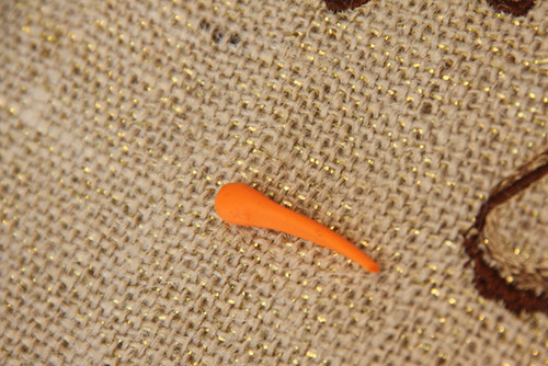 Carrot_Closeup