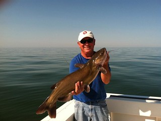 Awesome Lake Erie Catfish