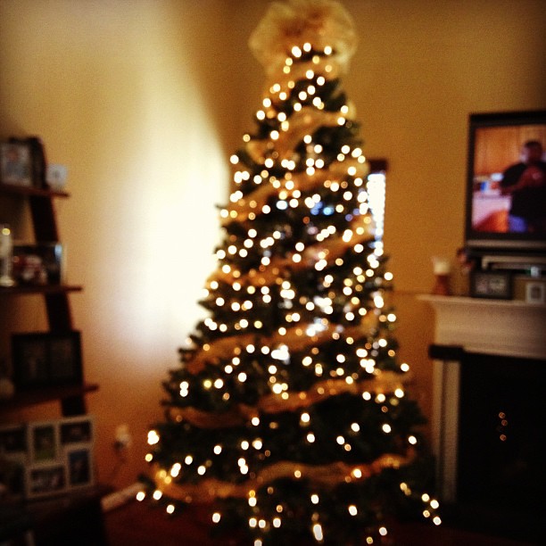The tree is already up at my in-laws. So pretty!