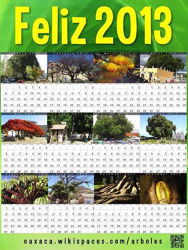 Green Feliz 2013: Arboles de Oaxaca (Oaxaca Trees) @OaxacaFertil