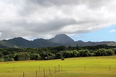 The Road North to Princeville