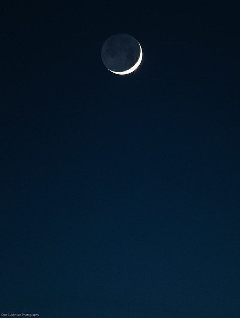 Crescent Moon-4489